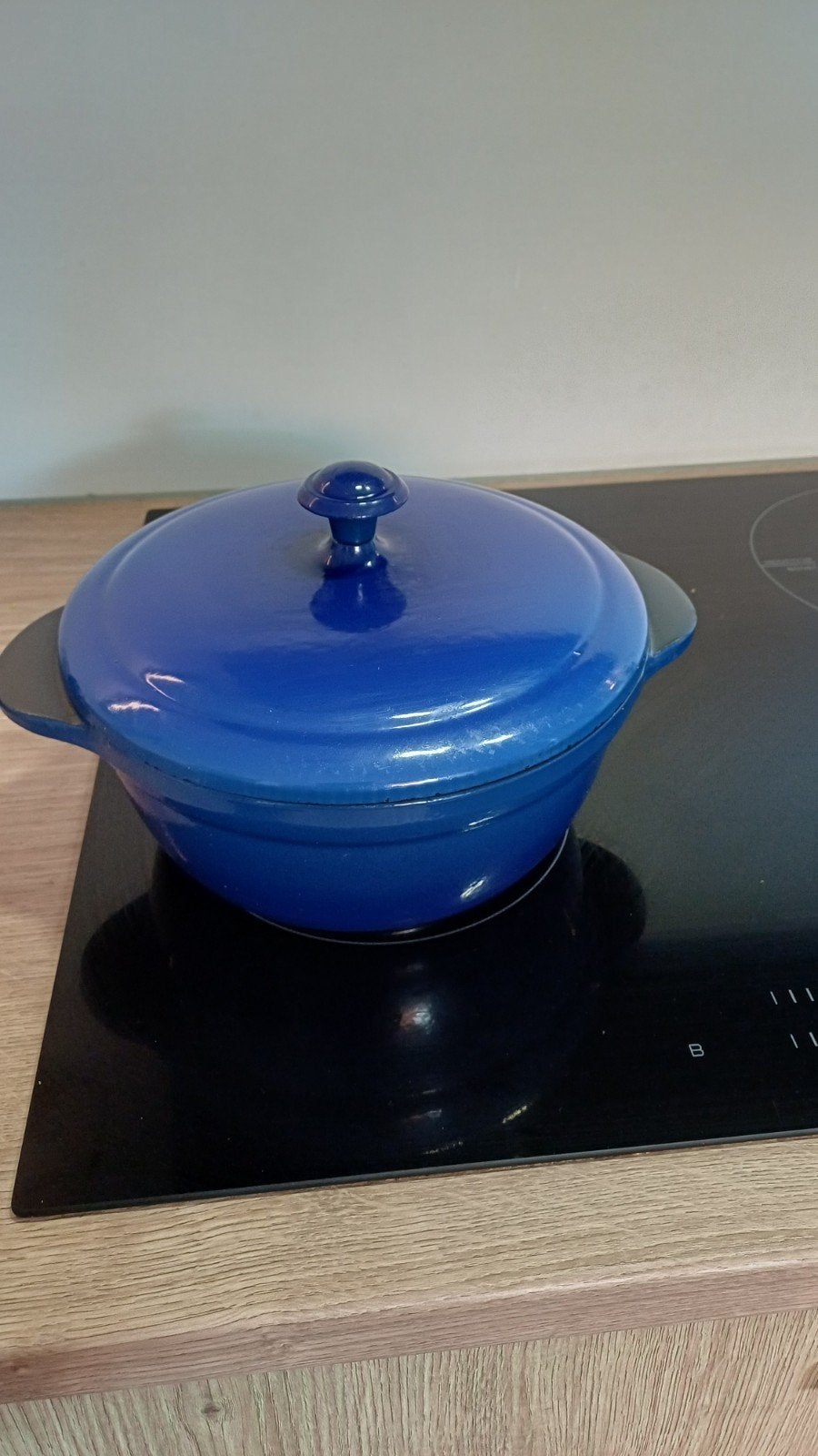 gietijzeren braadpan te koop, Ophalen, Gietijzer