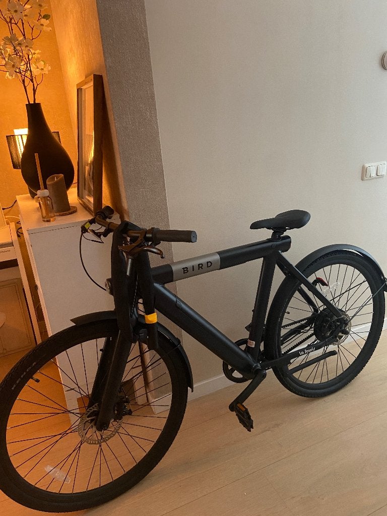 Birdbike ebike, Fietsen en Brommers, Elektrische fietsen, Minder dan 30 km per accu, Nieuw, 55 tot 59 cm, Ophalen