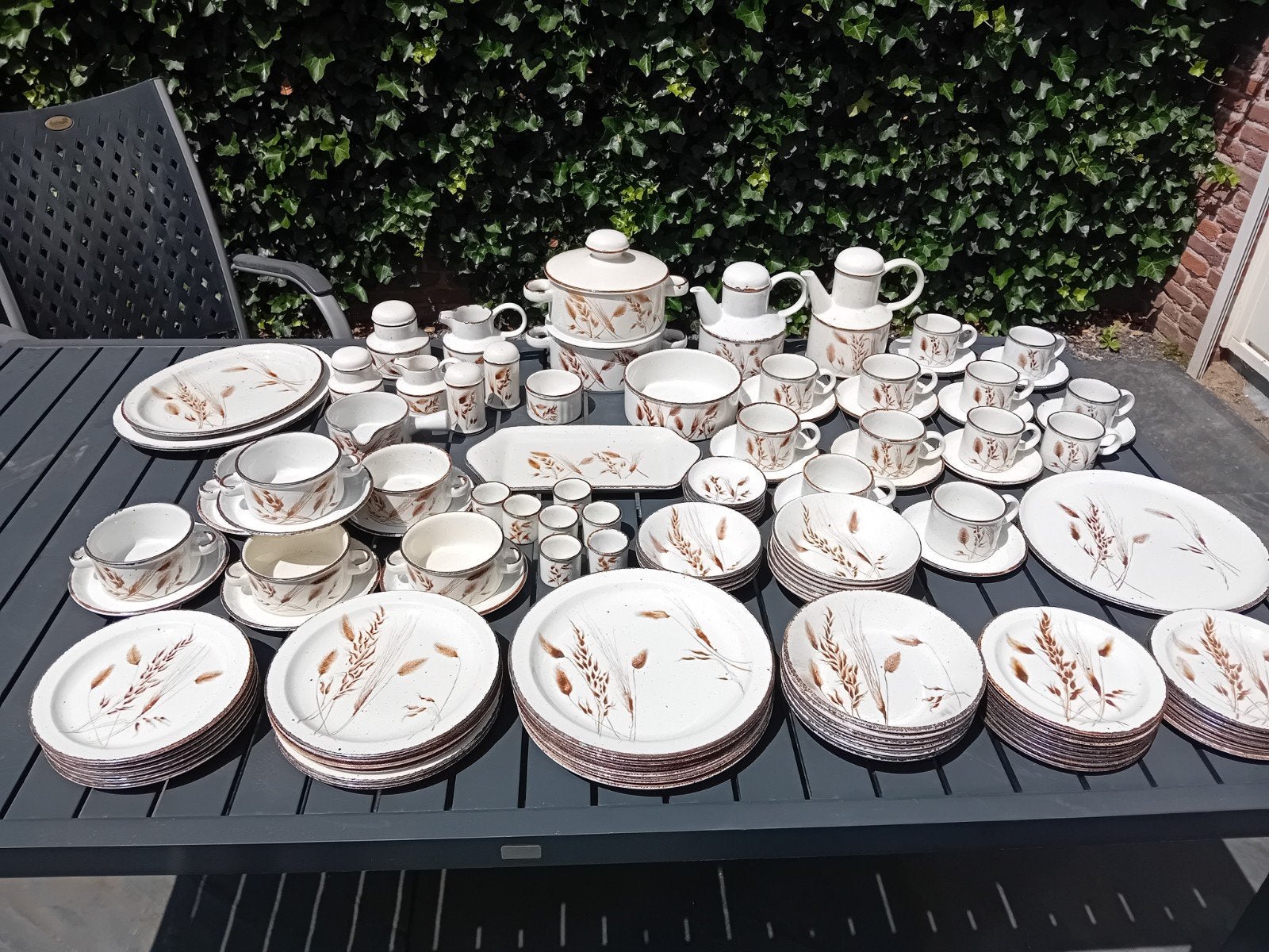 Compleet Midwinter Stonehenge Wild Oats servies puntgaaf., Ophalen of Verzenden, Zo goed als nieuw, Overige materialen, Pannenset