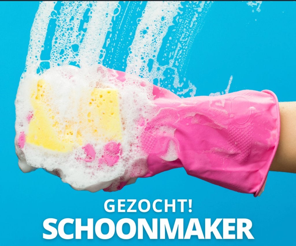 Huishoudelijke hulp gezocht! 🧹 in Nieuwleusen, Starter, Overige vormen, Overige uren, Overige niveaus
