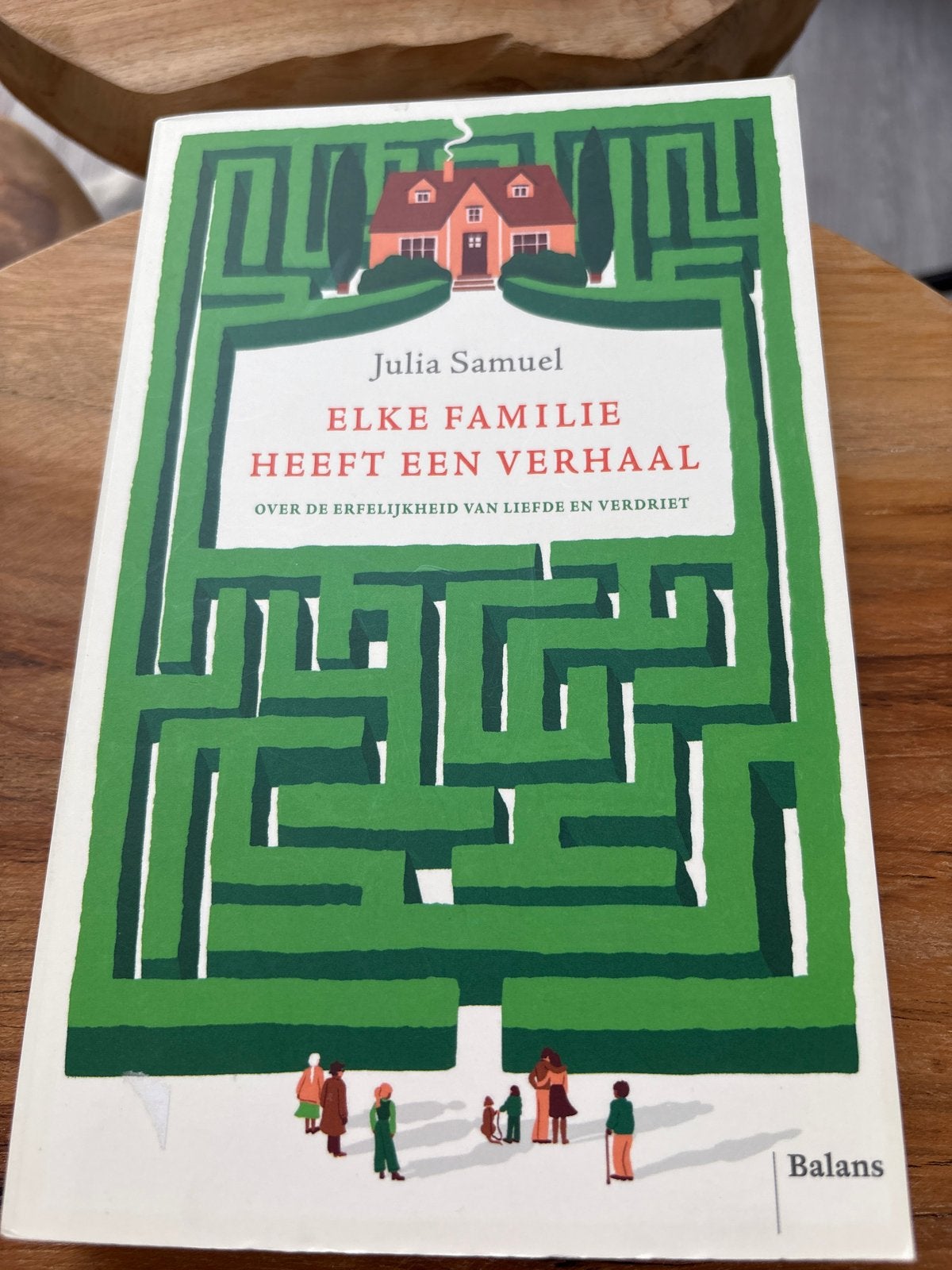 Elke Familie Heeft Een Verhaal - Julia Samuel, Ophalen of Verzenden, Zo goed als nieuw