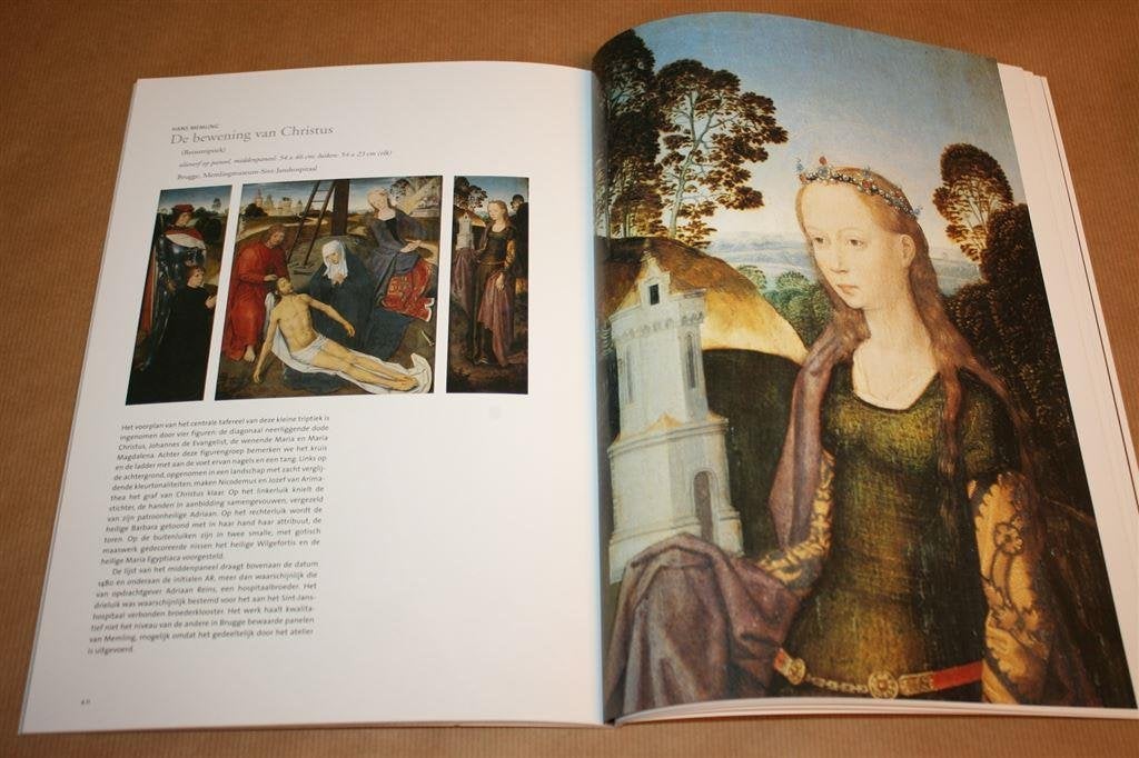 Jan Van Eyck. De Vlaamse Primitieven en Brugge., Ophalen of Verzenden, Zo goed als nieuw