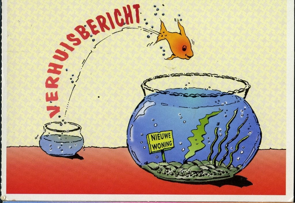 Nederland 1995  Verhuisbericht Goudvis > Berkel en Roderijs, Verzenden, 1980 tot heden, Gelopen, Stad of Dorp