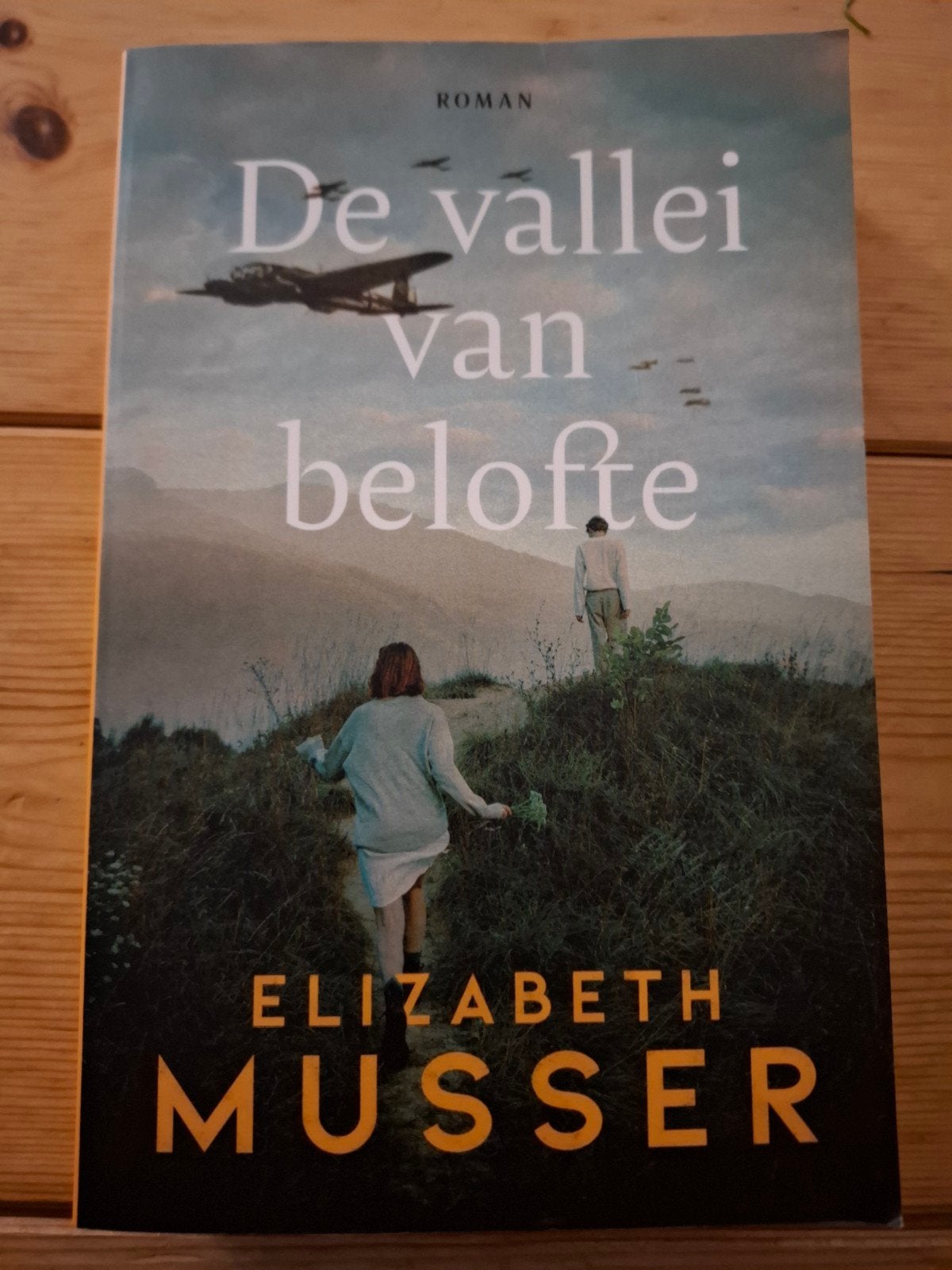 Elizabeth Musser - De vallei van belofte, Ophalen of Verzenden, Zo goed als nieuw, Elizabeth Musser
