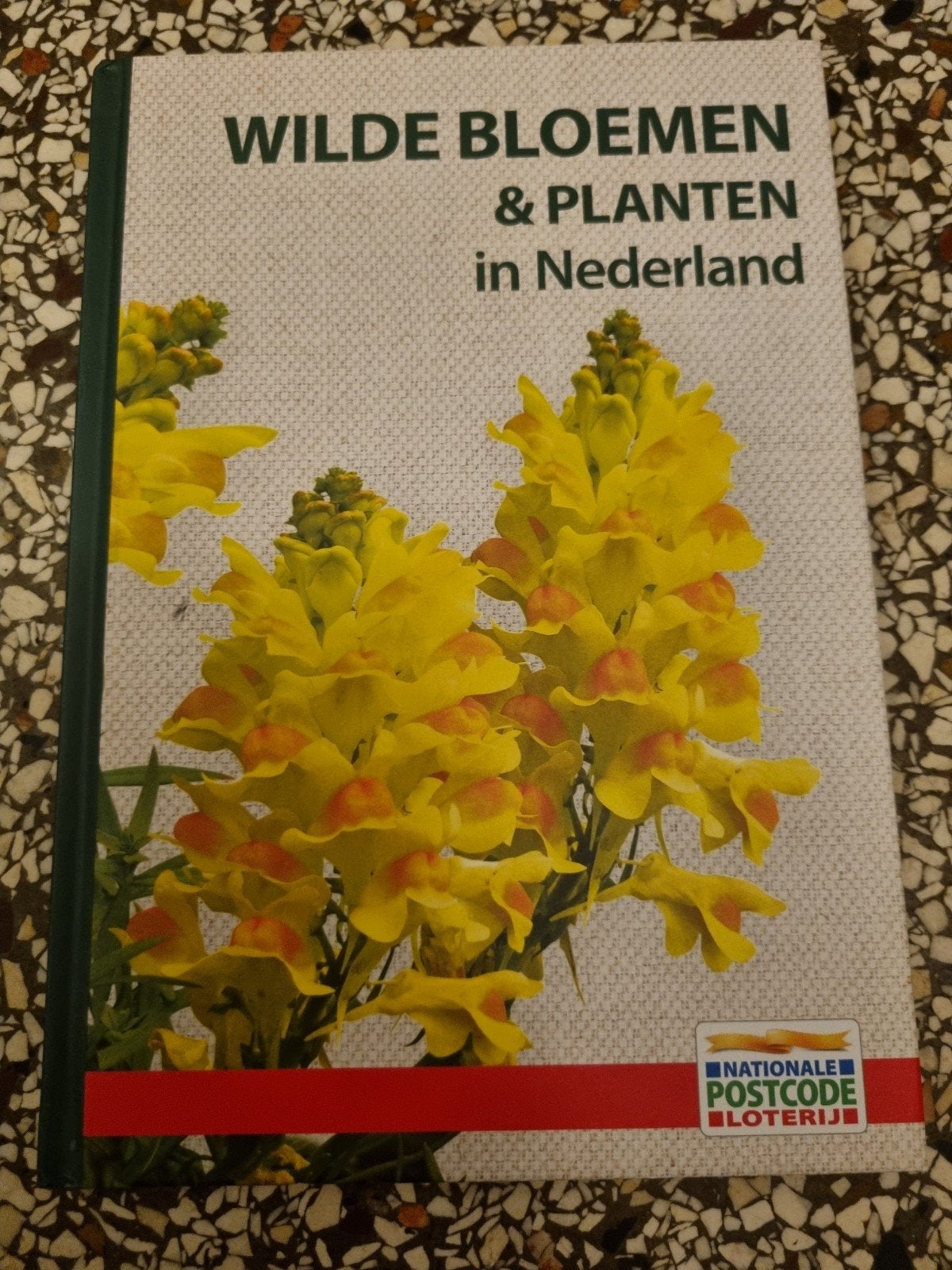 Boek wilde bloemen en planten, Ophalen of Verzenden, Zo goed als nieuw, Bloemen, Planten en Bomen