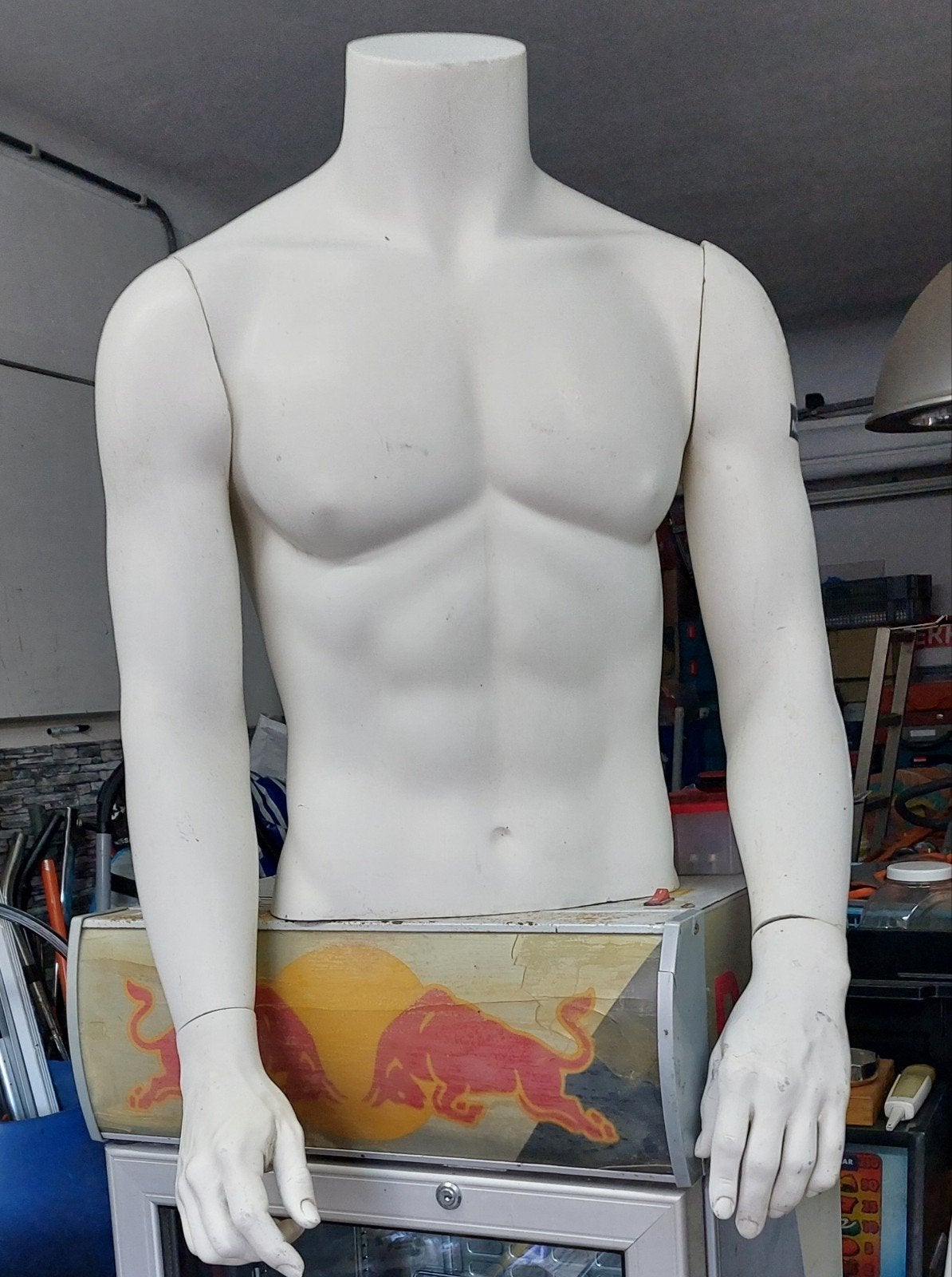 Mannelijke paspop torso - Zeer nette staat, Ophalen