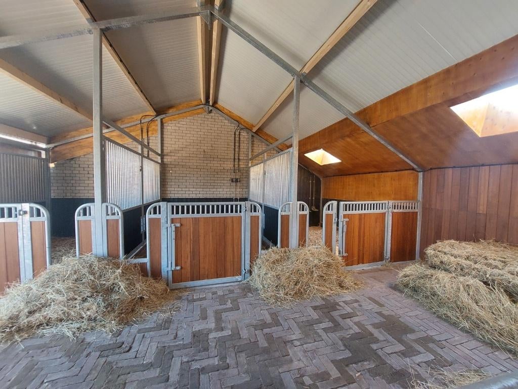 vakantiestalling, Dieren en Toebehoren, Stalling en Weidegang