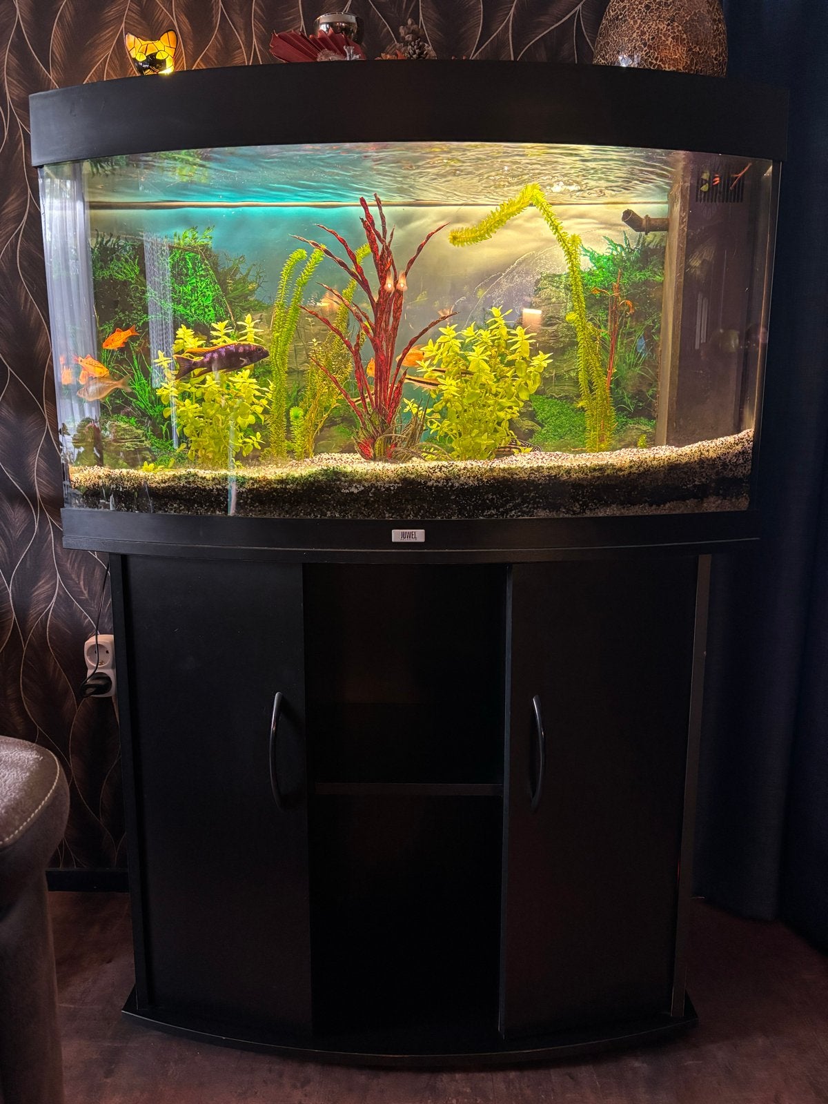 Juwel aquarium met pomp en vissen, Ophalen, Aquariummeubel, Zo goed als nieuw, Inclusief vissen