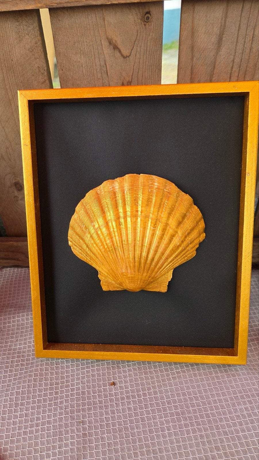 Gouden Schelp Kunstwerk in Lijst, Huis en Inrichting, Woonaccessoires | Overige, Zo goed als nieuw, Natuurlijk materiaal, Goud