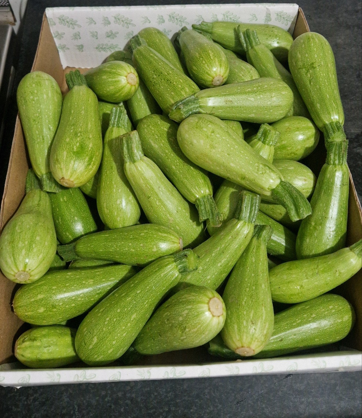 Courgette, Ophalen, Volle zon, Zaad