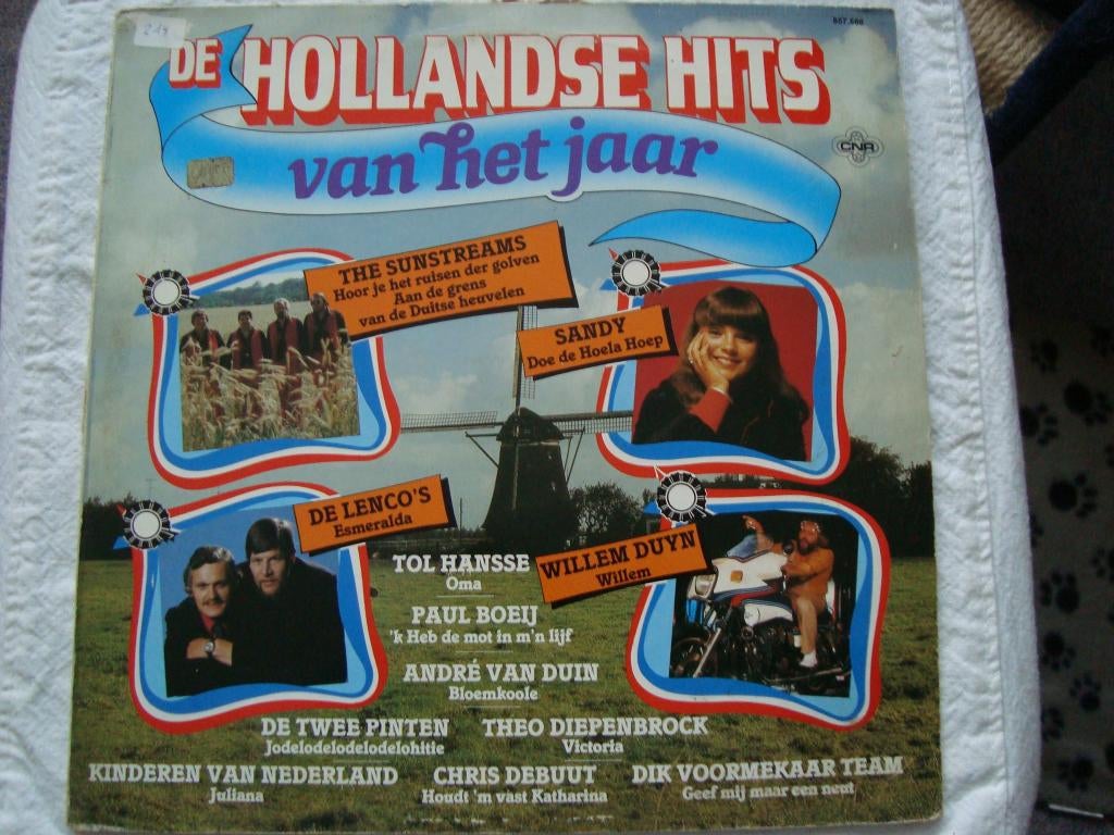 De hollandse hits van het jaar ., Cd's en Dvd's, Vinyl | Nederlandstalig, Ophalen of Verzenden, Zo goed als nieuw, 12 inch, Levenslied of Smartlap