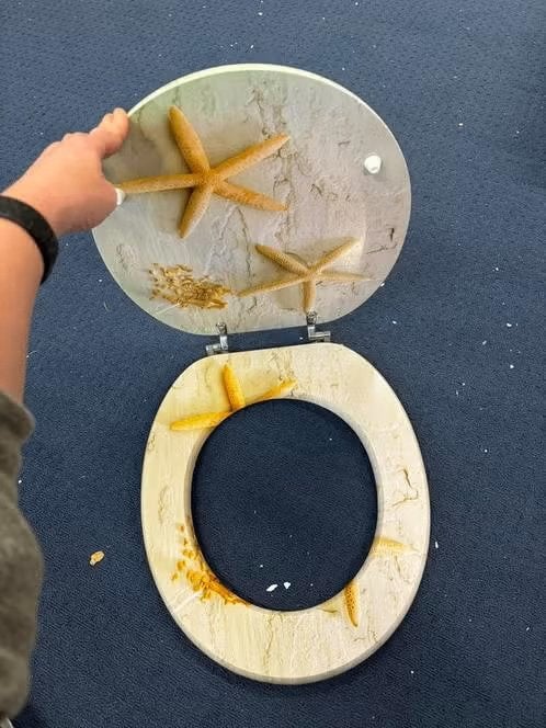NIEUW! Toilet bril universeel schelpen design €14,99, Ophalen of Verzenden, Nieuw, Overige kleuren, Overige typen