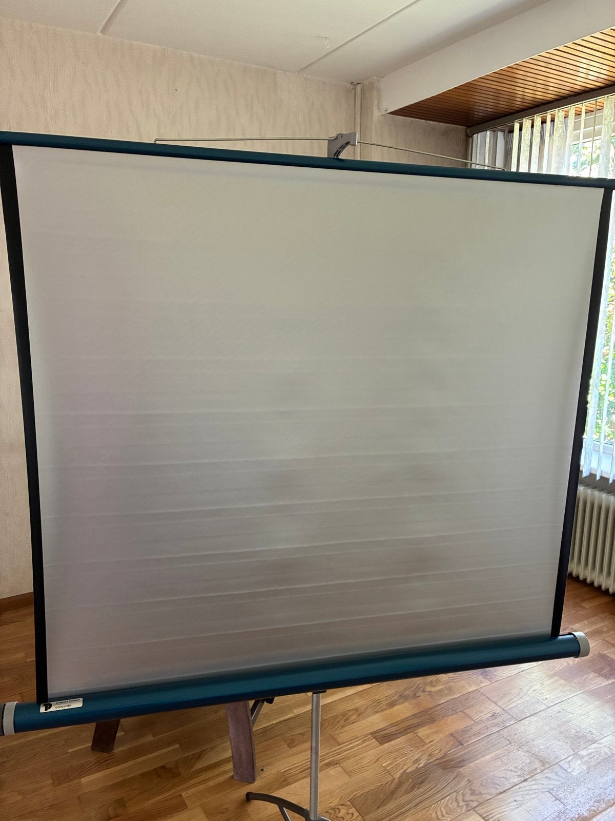 Diaprojector, viewer, projectietafel en scherm., Ophalen, Gebruikt, Met scherm