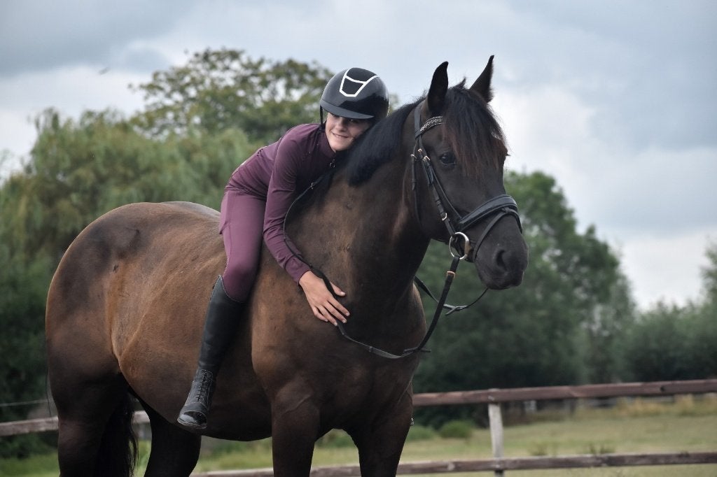 ## BETROUWBAAR & super braaf, voor iedereen geschikt ##, Gechipt, Minder dan 160 cm, Ruin, Dressuurpaard