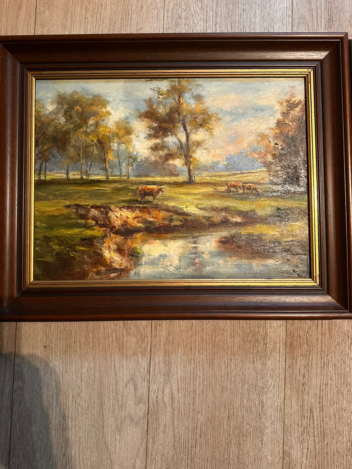 2 mooie schilderijen, Ophalen of Verzenden