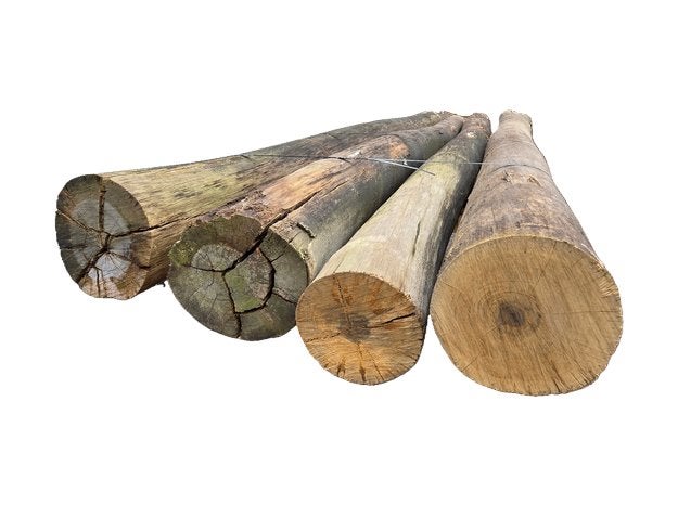 Gebruikte hardhouten ronde palen - Ø 25/35 cm - nr: HB431, Tuin en Terras, Ophalen, Gebruikt, 250 cm of meer, Palen
