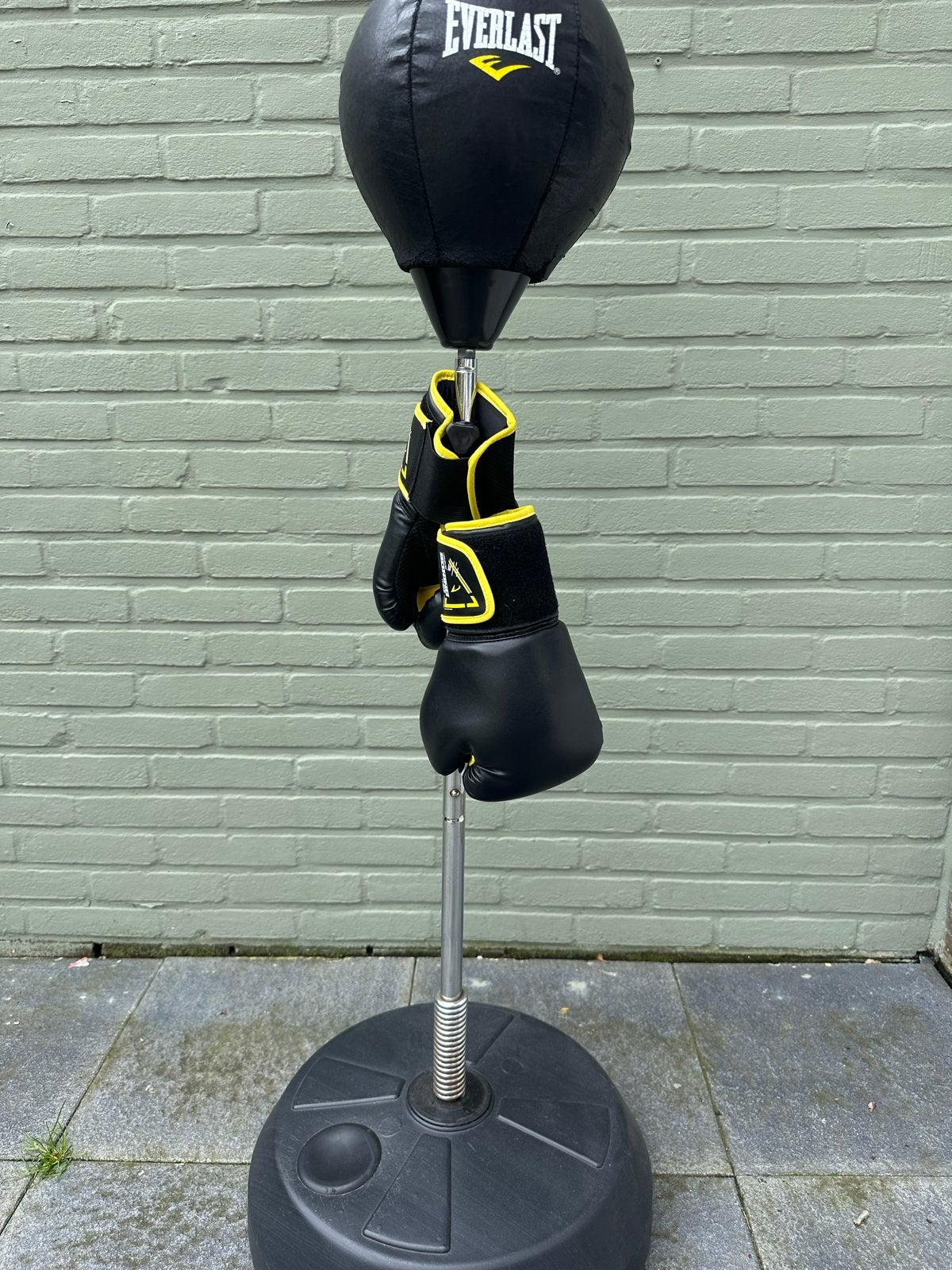 Everlast Bokszak met bokshandschoenen, Sport en Fitness, Boksen, Zo goed als nieuw, Bokszak, Ophalen