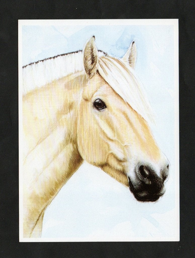 Paard Schimmel door Theo Wiersema., Ophalen of Verzenden, 1980 tot heden, Ongelopen, Paard