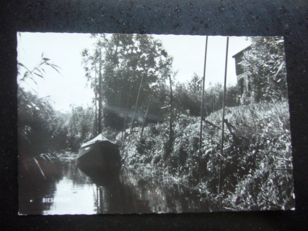 BIESBOSCH, Ophalen of Verzenden, 1940 tot 1960, Gelopen, Noord-Brabant