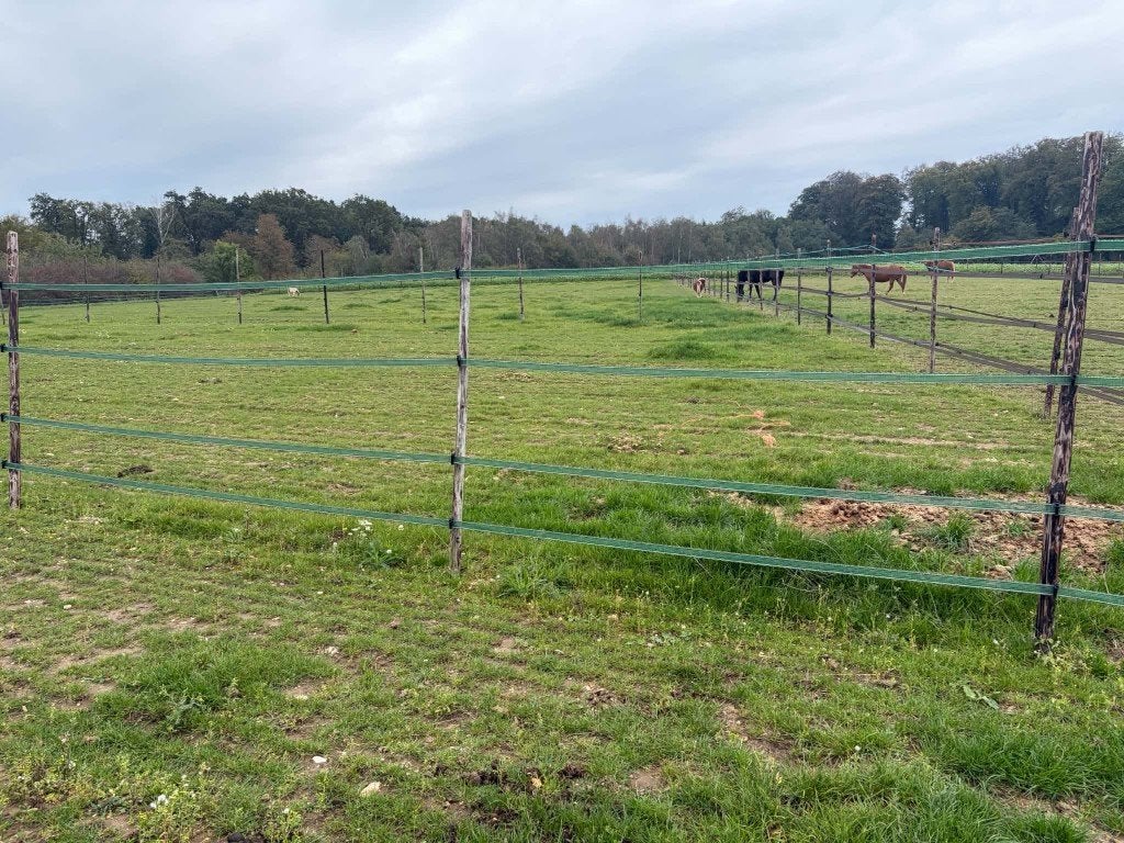 Weiland te huur voor paarden, Weidegang, 2 of 3 paarden of pony's