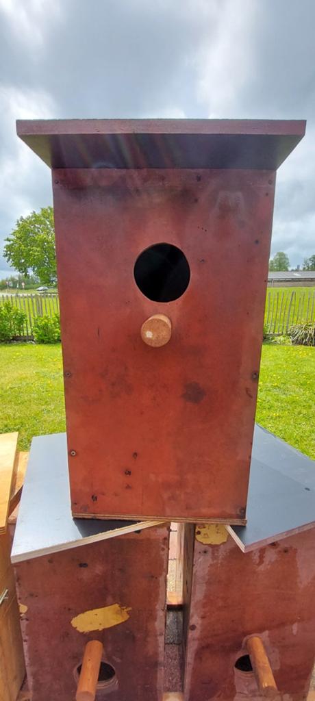 Broedblokken parkieten/papegaaien, Verzenden, Gebruikt, Hout, Broedkooi of Kweekkooi