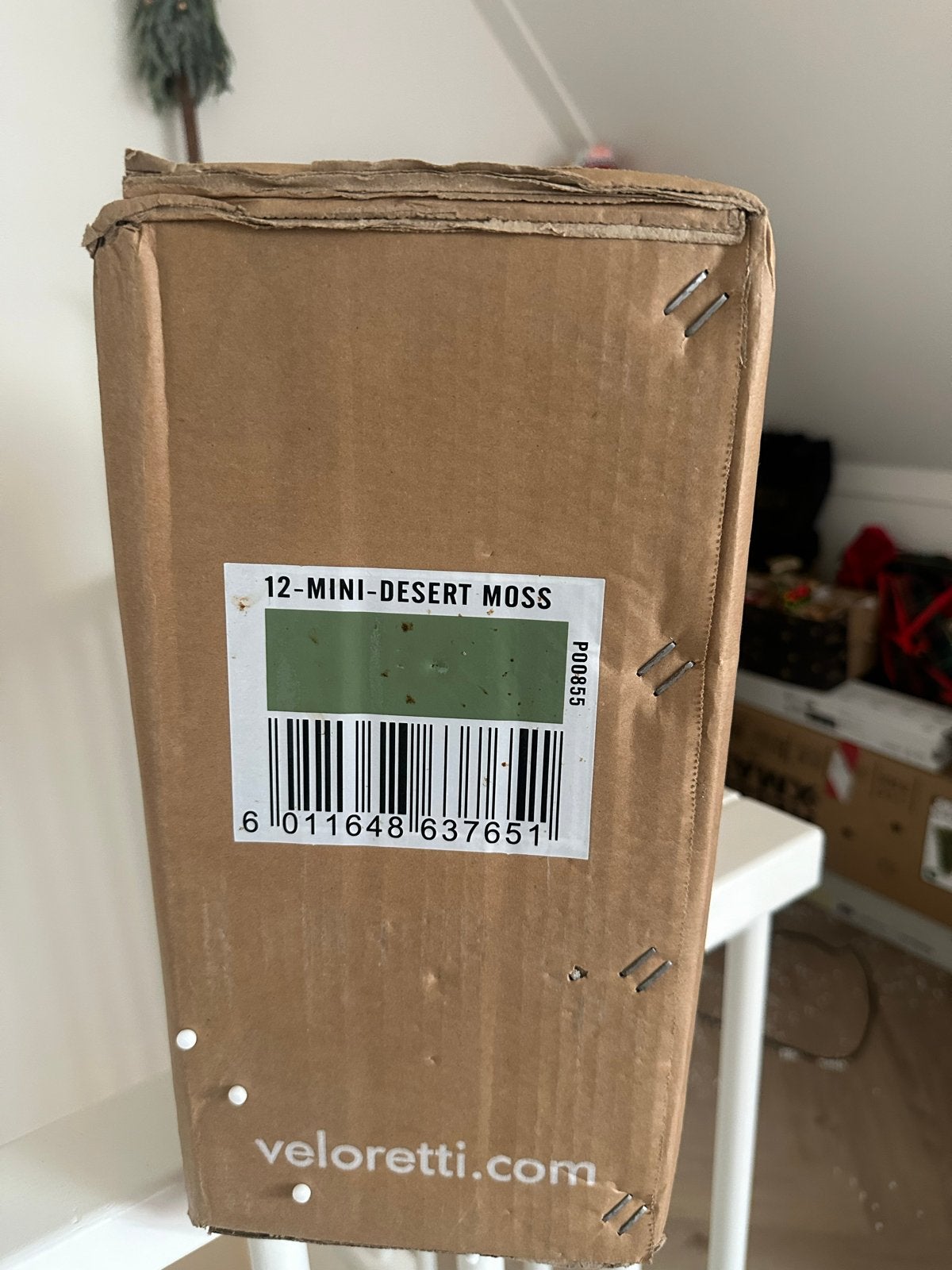 Veloretti Mini Desert Moss Kinderfiets, Ophalen, Nieuw, Veloretti