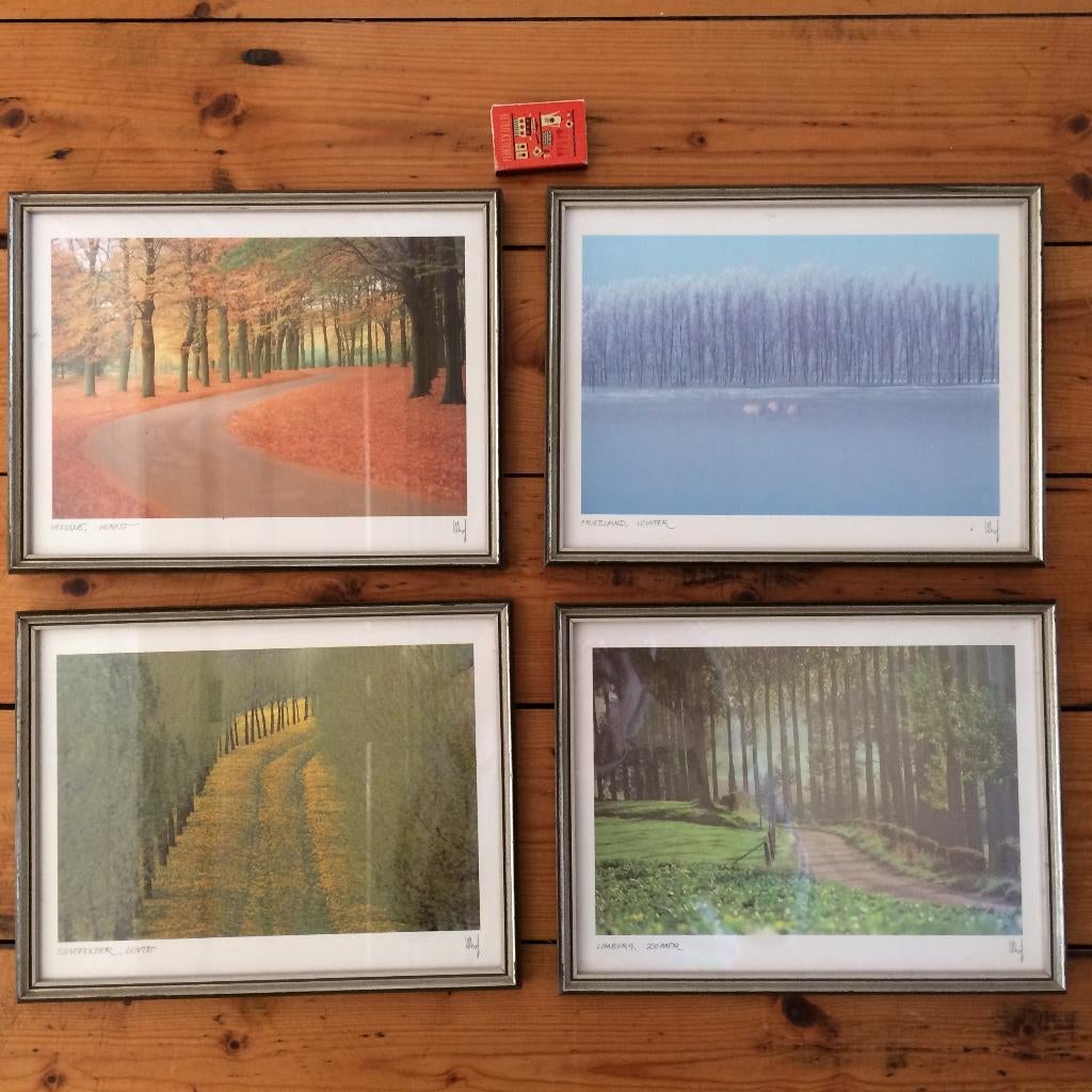 Hollandse boslandschappen 4 seizoenen hémels gefotografeerd, Huis en Inrichting, Woonaccessoires | Schilderijen, Tekeningen en Foto's
