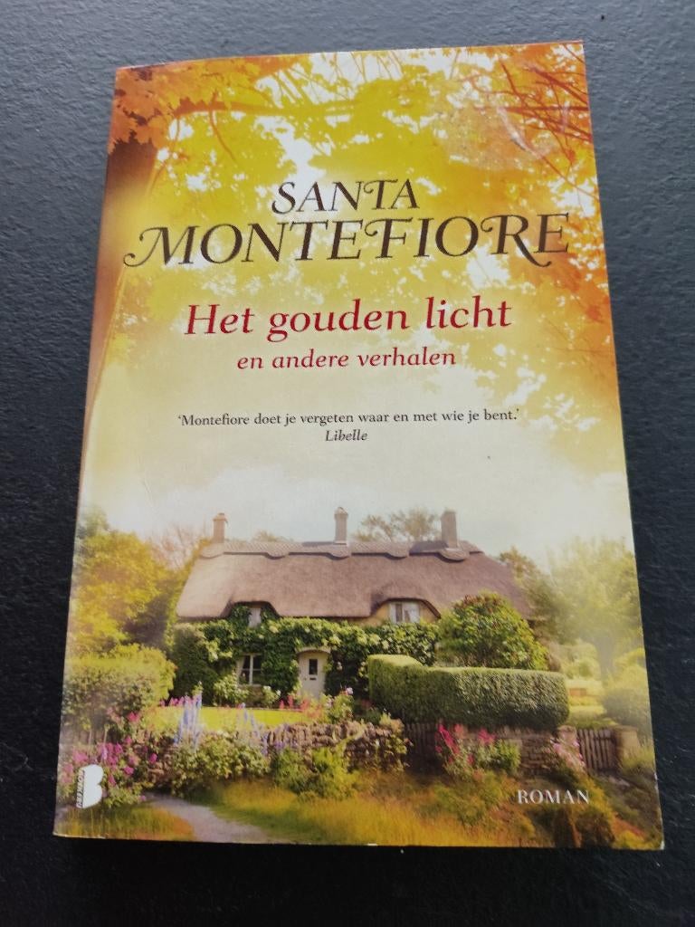 Santa Montefiore Het Gouden Licht in nette staat, Boeken, Romans, Ophalen of Verzenden, Zo goed als nieuw, Santa Montefiore