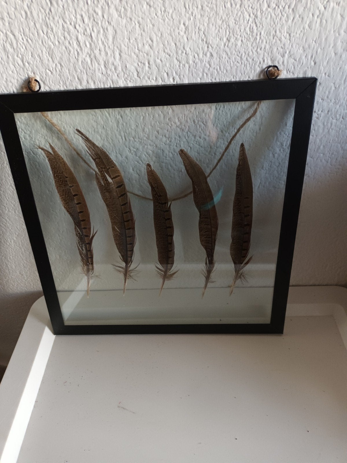 decoratie lijst met ganzeveren 7 stuks, Ophalen, Natuurlijk materiaal, Bruin, Landelijk