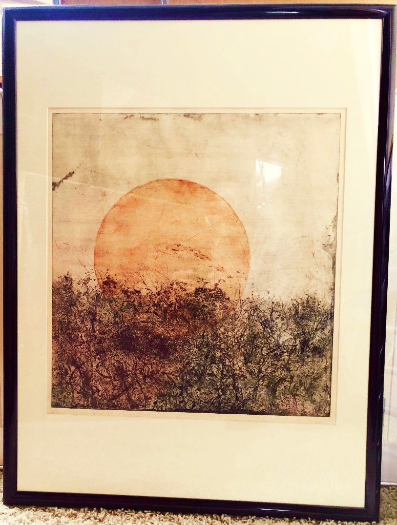 JOOP VISSER, ets "Oude haag met zon", Antiek en Kunst, Ingelijst, 48 cm, Ets, 51 cm