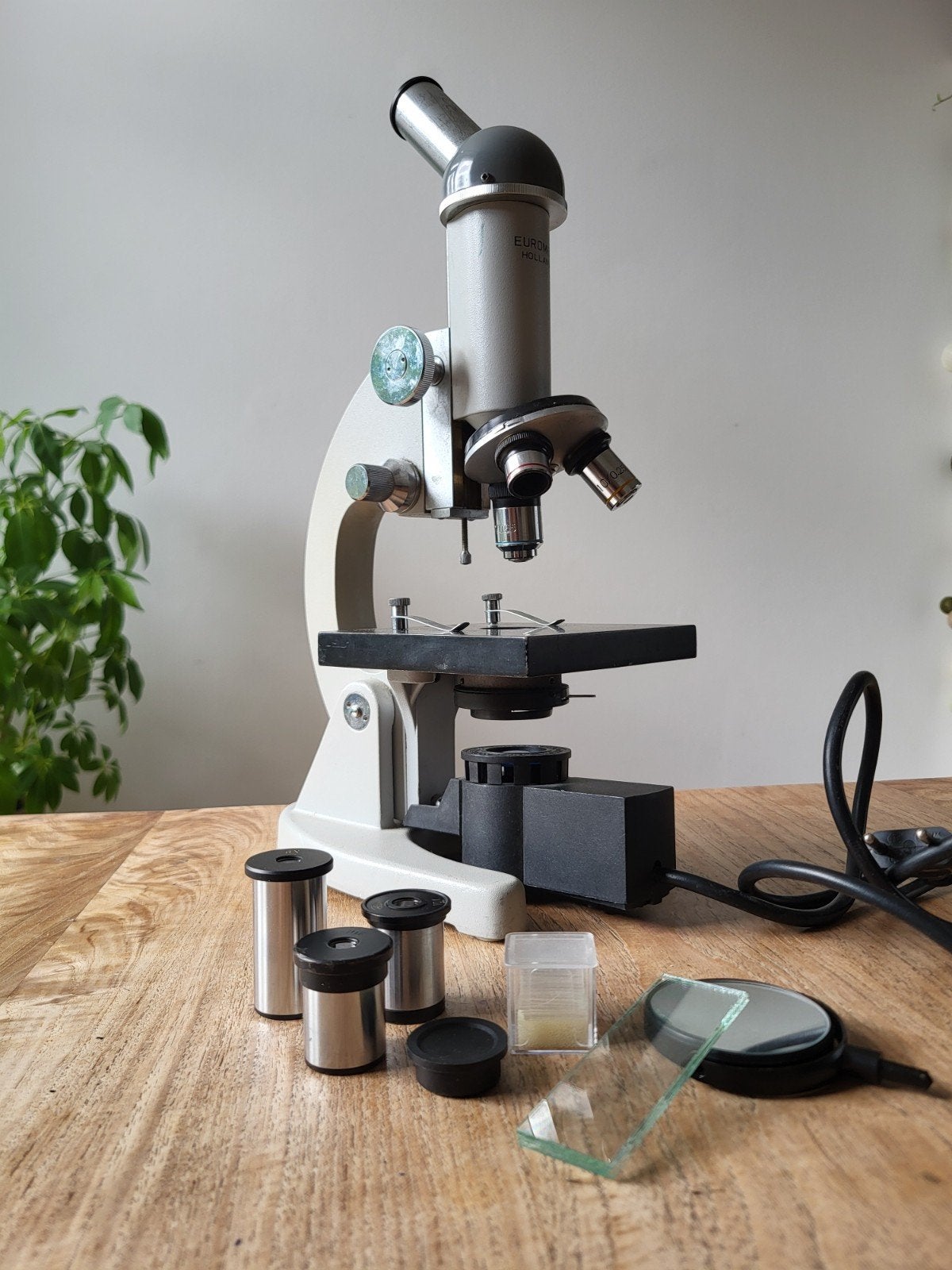 Euromex SAA Microscoop Compleet met Verlichting en Oculairs, Ophalen of Verzenden, Gebruikt, Biologische microscoop