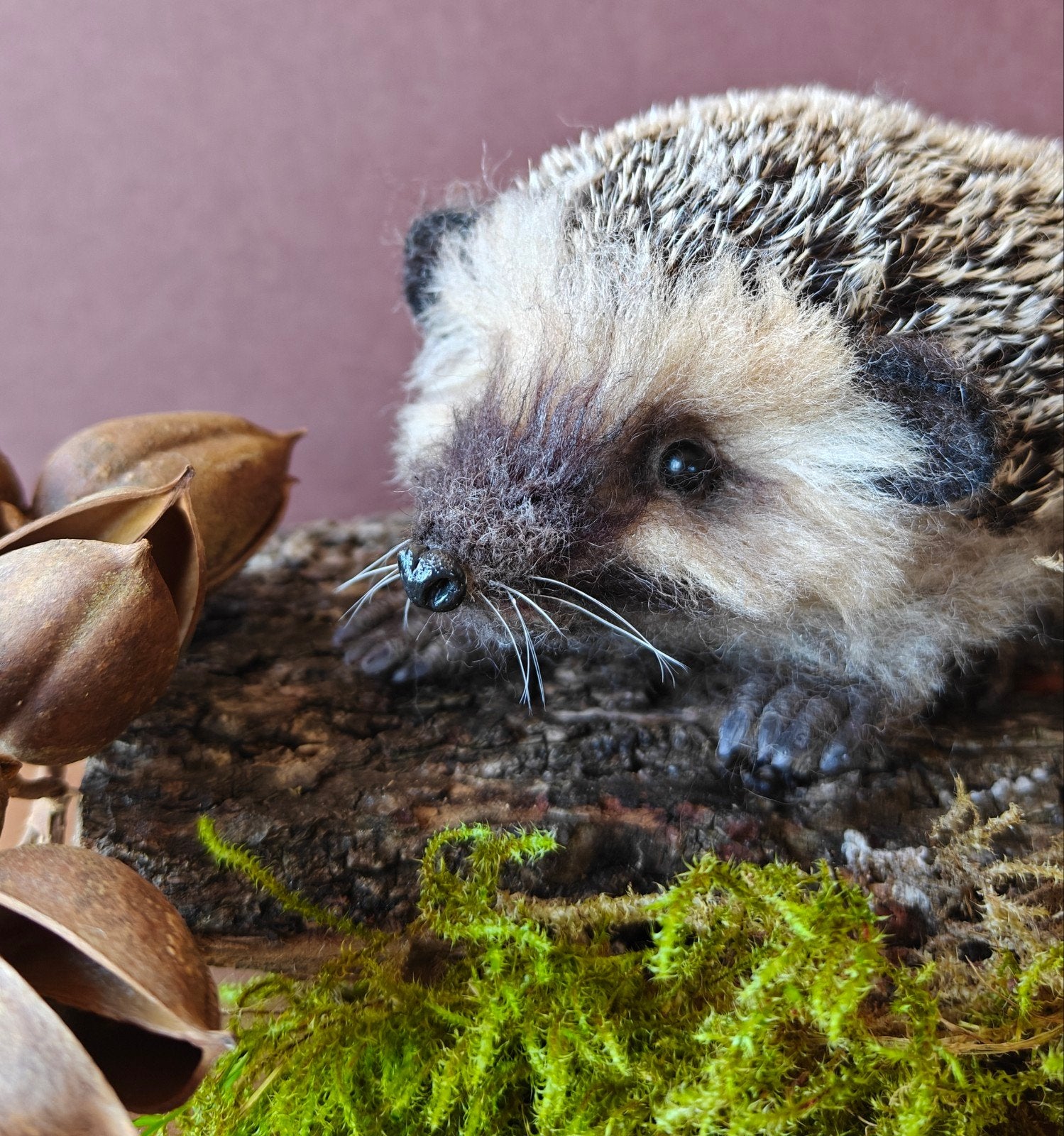 egel, herfst, naaldvilten, Ophalen of Verzenden, Nieuw, Figuurtje(s)