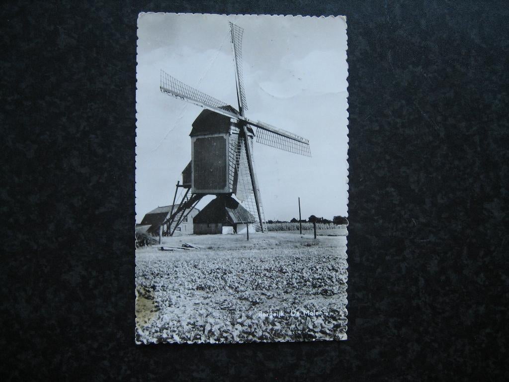 BERGEIJK  De Molen 1961, Verzamelen, Ansichtkaarten | Nederland, Verzenden, 1940 tot 1960, Noord-Brabant