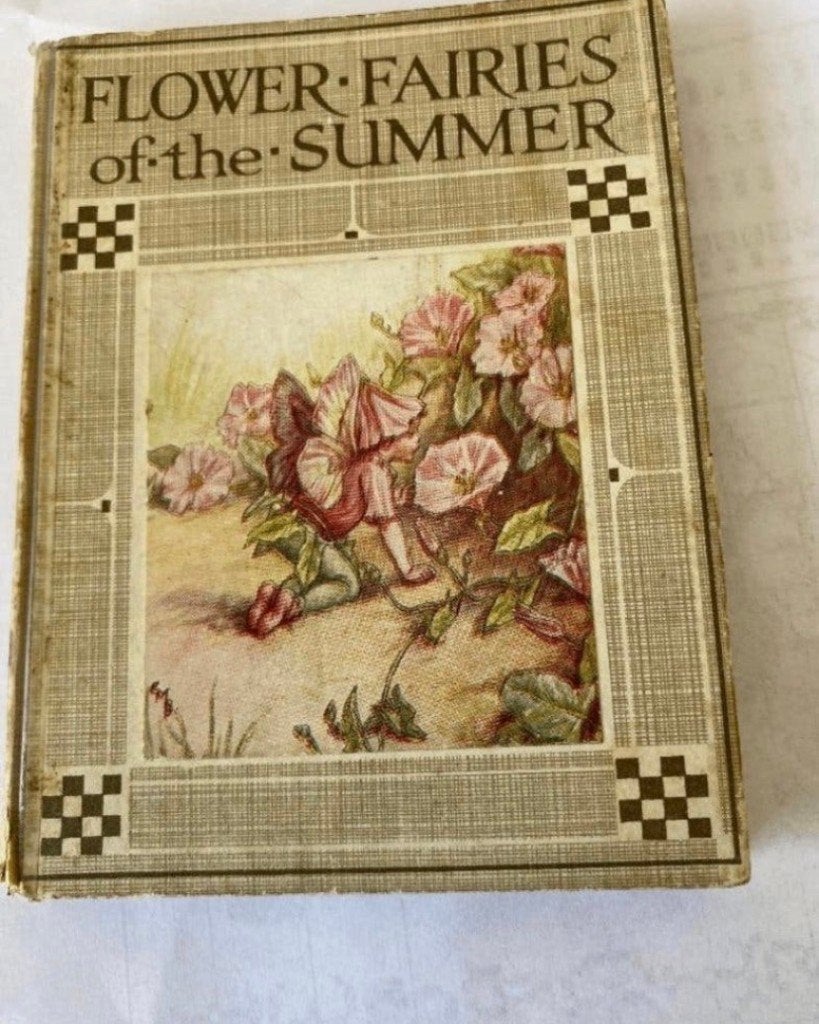 BOEK FLOWER FAIRIES OF THE SUMMER, Verzenden, Gelezen, Prentenboek