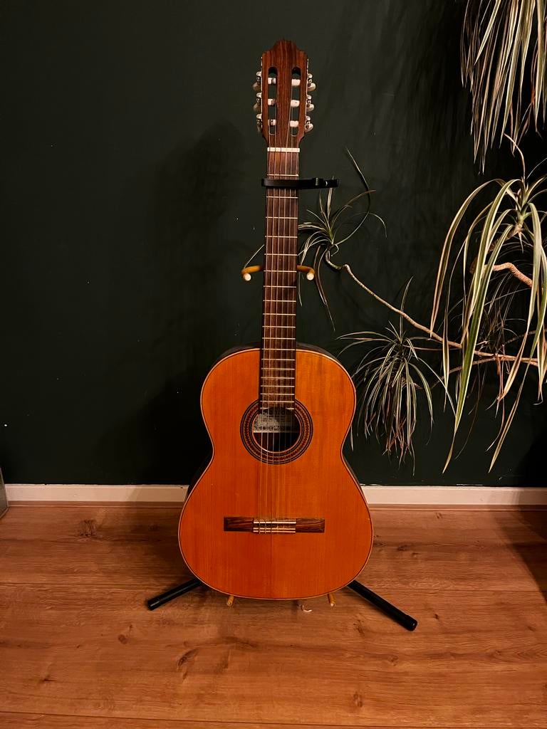 Akoestische gitaar met houder, capo, koffer en boekje, Ophalen, Gebruikt, Klassieke of Spaanse gitaar