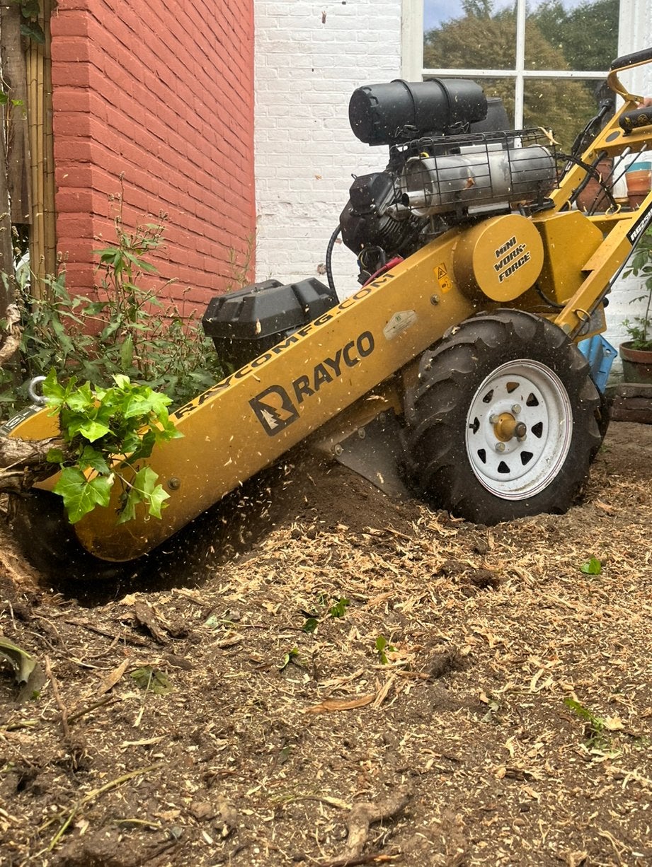 Boomstronk in de weg ? Wij hallen hem voor u weg, Tuin en Terras, Ophalen of Verzenden