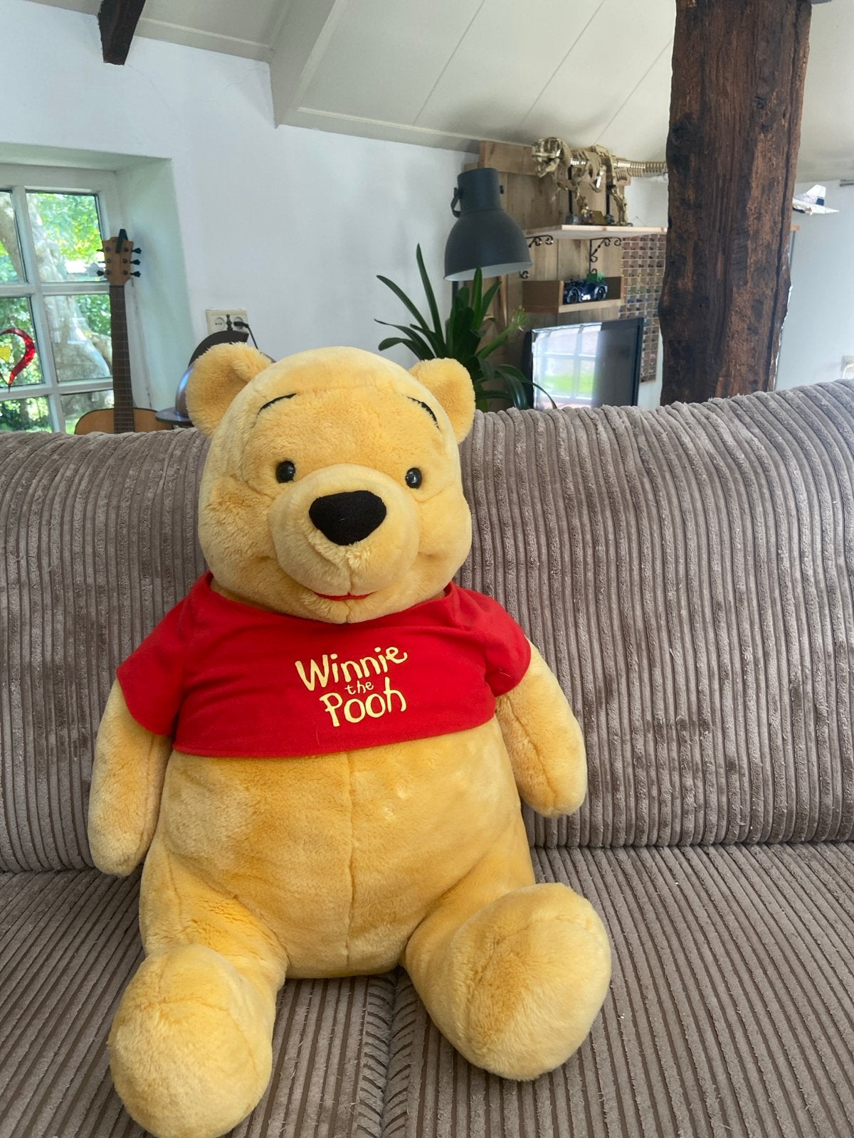 Winnie de Pooh knuffel - Disneyland Parijs - 50 cm, Kinderen en Baby's, Speelgoed | Knuffels en Pluche, Disney, Geel, Beer, Ophalen of Verzenden