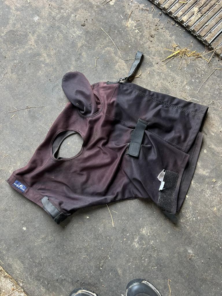 Snuggy hoods vliegenmasker, Full (L), Ophalen of Verzenden, Gebruikt, Zwart