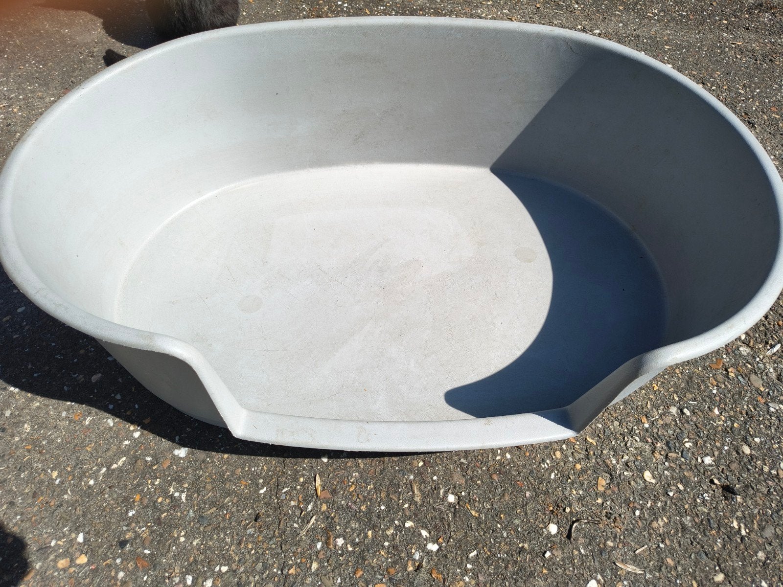 Stevige plastic hondenmand, Ophalen, Gebruikt, Overige