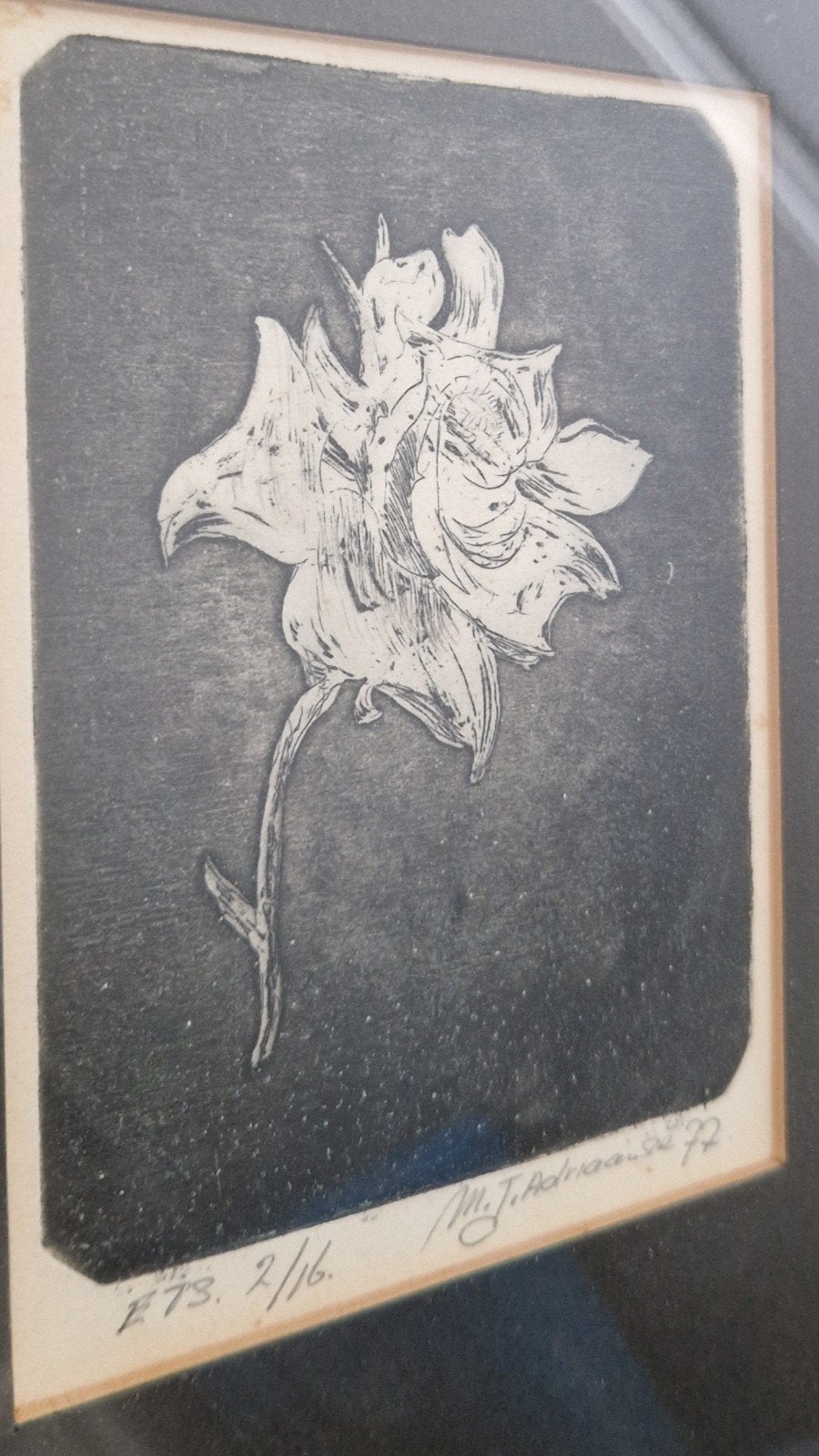 Ets van een roos, gesigneerd en genummerd (1972), Antiek en Kunst, Ophalen of Verzenden, Genummerd, Flora en Fauna, 1950 - 1999
