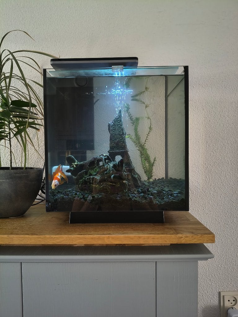 Aquarium superfish 30 Liter, Ophalen, Superfish, Inclusief toebehoren, Gevuld zoetwateraquarium
