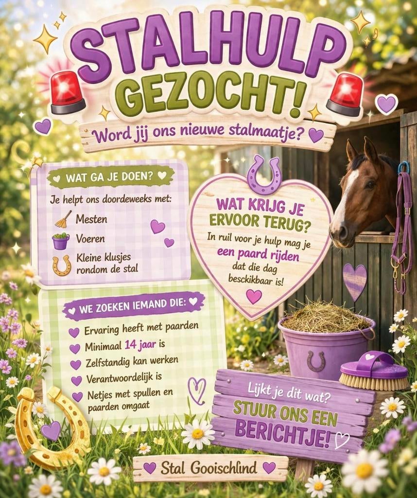 Stalhulp gezocht, Dieren en Toebehoren, Ophalen of Verzenden