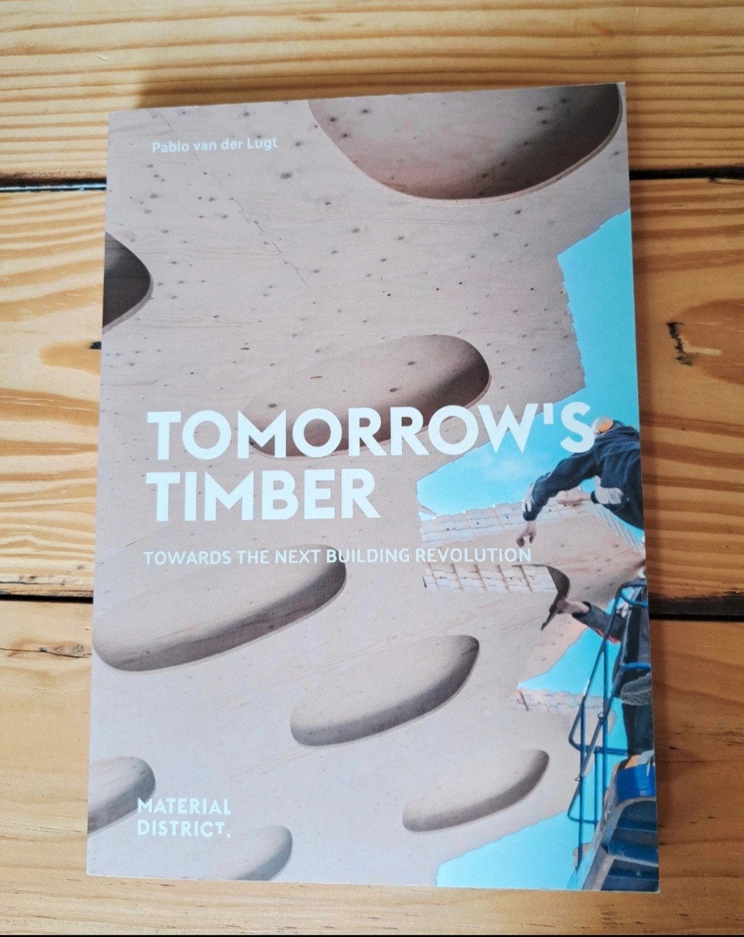 Pablo van der Lugt - Tomorrow's Timber, Architecten, Ophalen of Verzenden, Zo goed als nieuw, Pablo van der Lugt