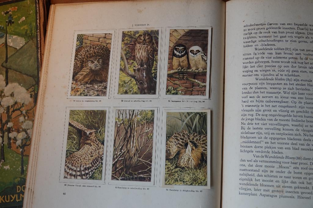 Dierenleven in Artis  en De Boerderij, Ophalen of Verzenden, Gelezen, Diverse auteurs, Plaatjesalbum