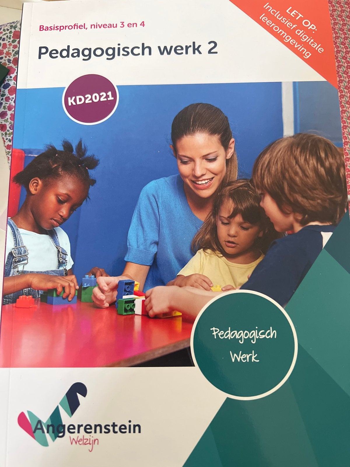 Pedagogisch Werk 2 - Basisprofiel niveau 3 en 4, Ophalen of Verzenden, Zo goed als nieuw, Overige niveaus, Overige vakken