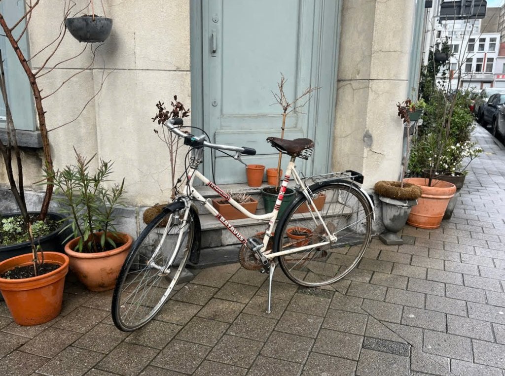 Batavus vintage fiets voor enthousiaste fietsopknapper, Fietsen en Brommers, Fietsen | Oldtimers, Ophalen, Jaren '60 of nieuwer