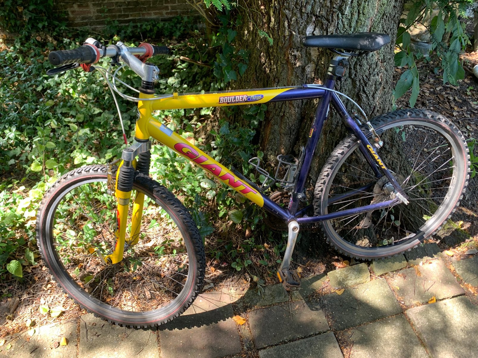 Opknapper Giant boulder mountain bike  met voorvering., Ophalen, Zo goed als nieuw, Giant