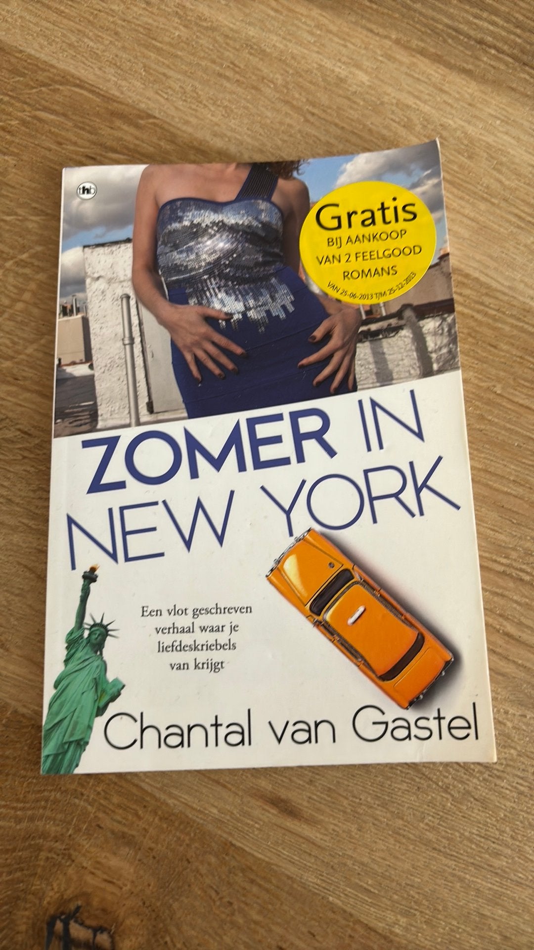 Chantal van Gastel - Zomer in New York, Boeken, Ophalen of Verzenden, Gelezen, Chantal van Gastel