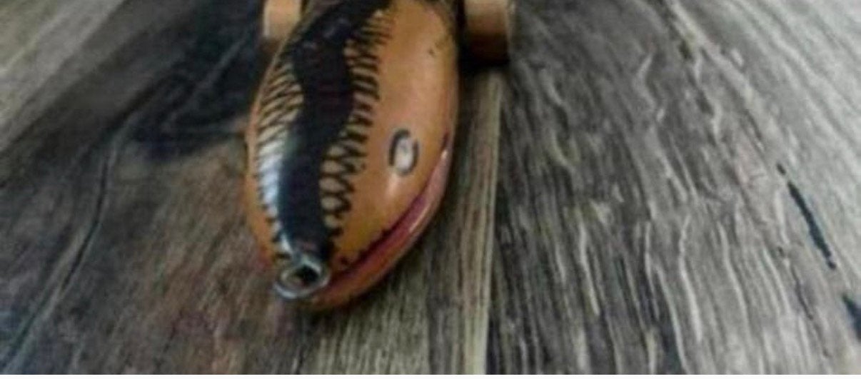 Houten krokodil, salamander , slang, Ophalen of Verzenden