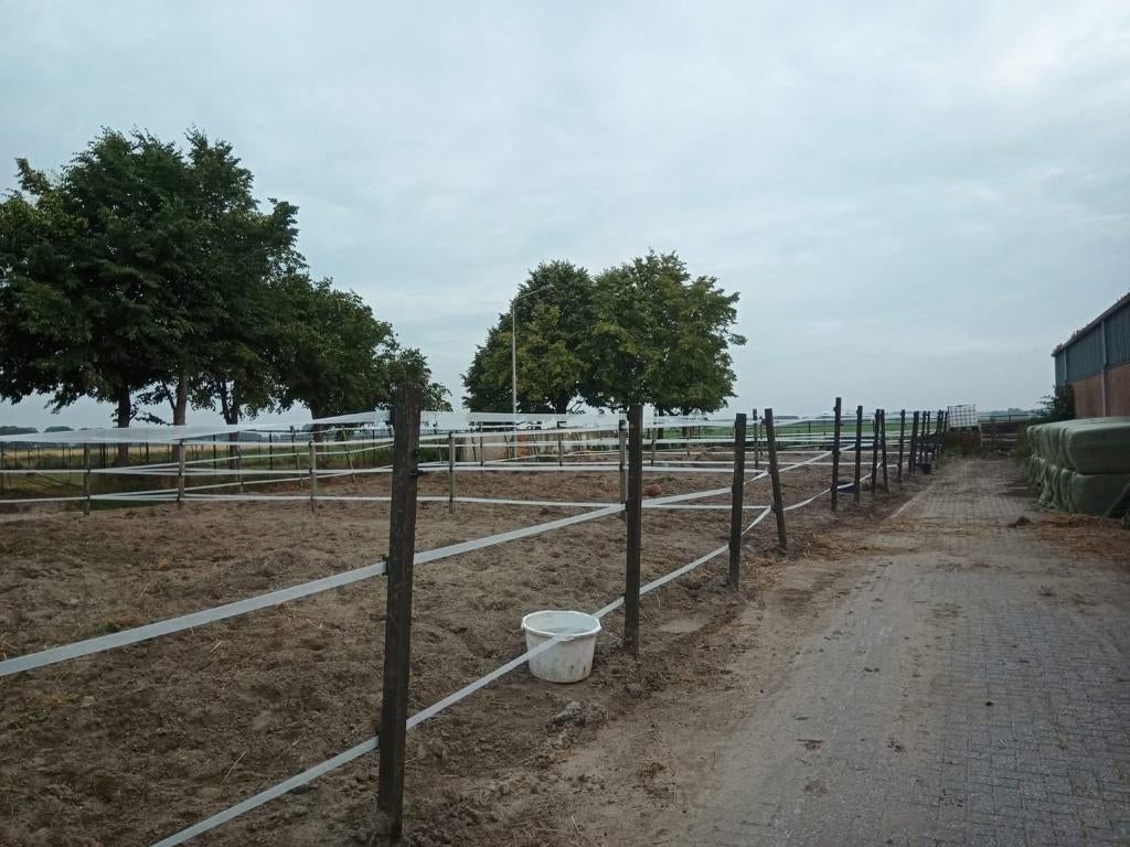 Trainingsplekken en pensionstalling beschikbaar, Dieren en Toebehoren, Stalling en Weidegang, Stalling